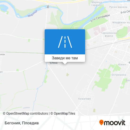 Бегония карта