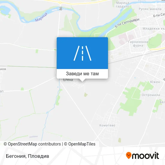 Бегония карта