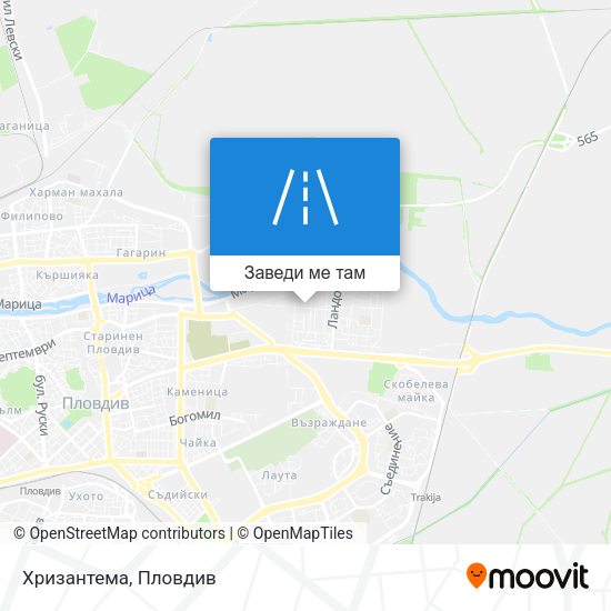 Хризантема карта