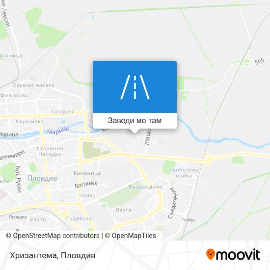 Хризантема карта