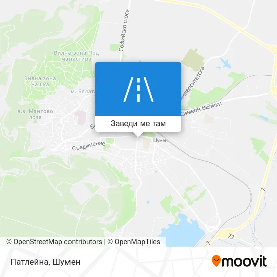 Патлейна карта