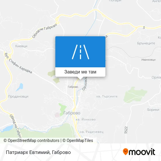 Патриарх Евтимий карта