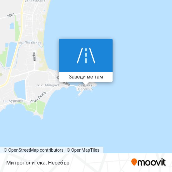 Митрополитска карта