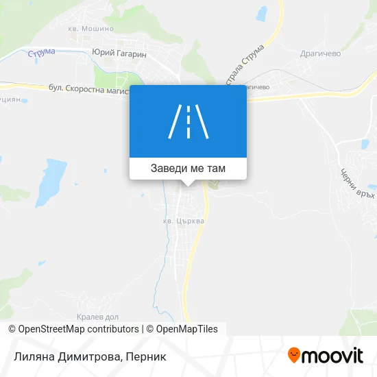 Лиляна Димитрова карта