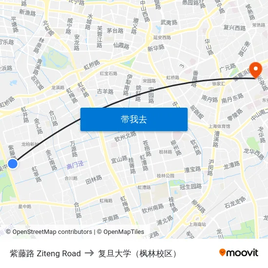 紫藤路 Ziteng Road to 复旦大学（枫林校区） map