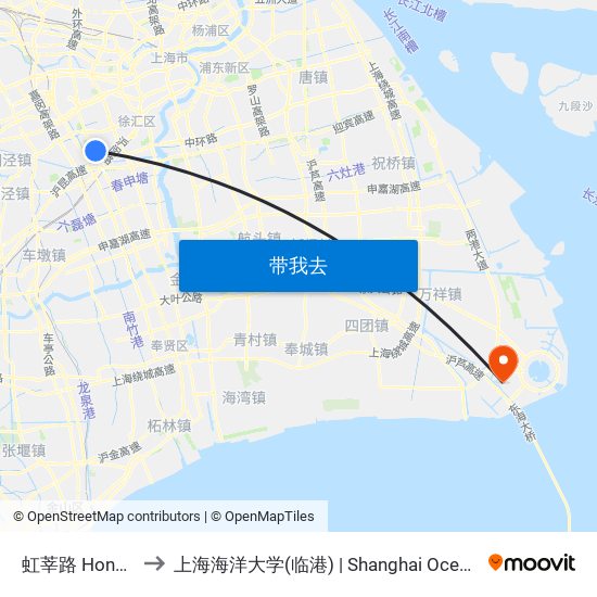 虹莘路 Hongxin Road to 上海海洋大学(临港) | Shanghai Ocean University(Lingang) map