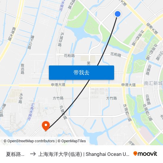 夏栎路铃兰路 to 上海海洋大学(临港) | Shanghai Ocean University(Lingang) map