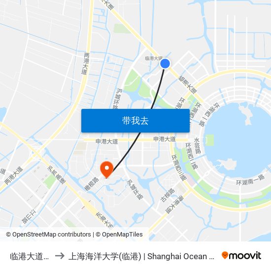 临港大道铃兰路 to 上海海洋大学(临港) | Shanghai Ocean University(Lingang) map