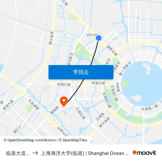 临港大道铃兰路 to 上海海洋大学(临港) | Shanghai Ocean University(Lingang) map