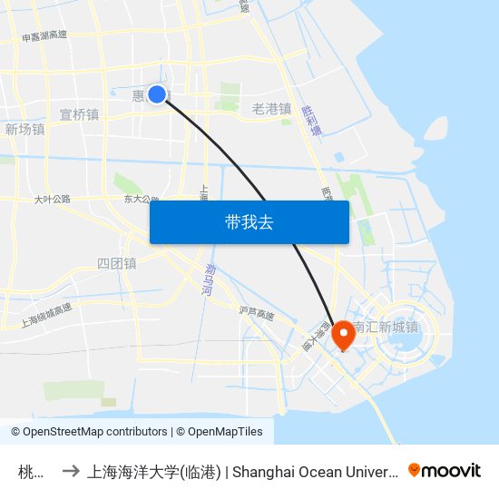 桃花村 to 上海海洋大学(临港) | Shanghai Ocean University(Lingang) map