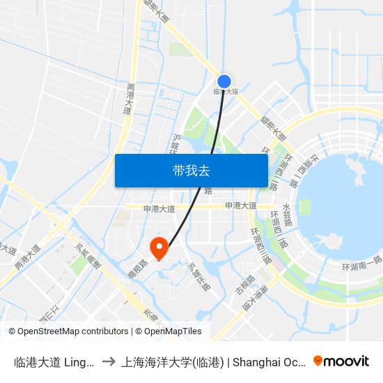 临港大道 Lingang Avenue to 上海海洋大学(临港) | Shanghai Ocean University(Lingang) map