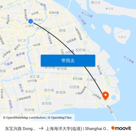 东宝兴路 Dongbaoxing Road to 上海海洋大学(临港) | Shanghai Ocean University(Lingang) map