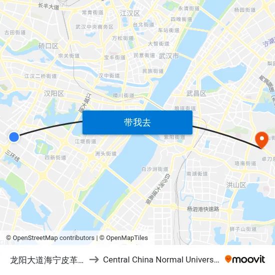 龙阳大道海宁皮革城 to Central China Normal University map