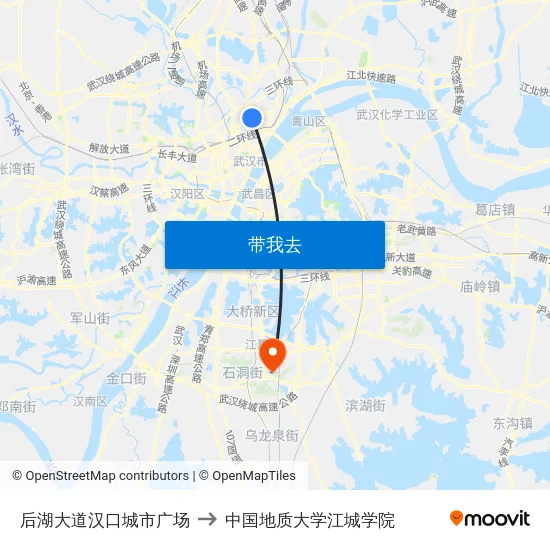 后湖大道汉口城市广场 to 中国地质大学江城学院 map