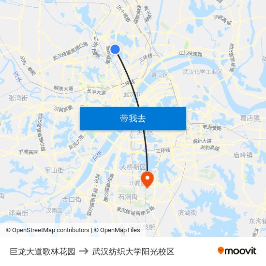 巨龙大道歌林花园 to 武汉纺织大学阳光校区 map