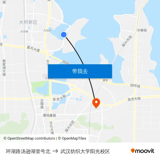环湖路汤逊湖壹号北 to 武汉纺织大学阳光校区 map