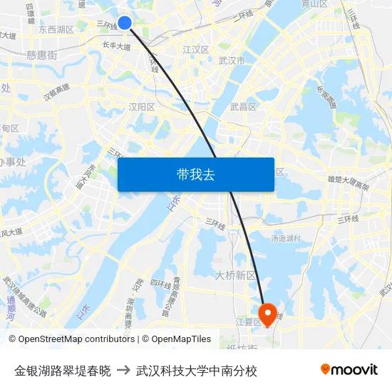 金银湖路翠堤春晓 to 武汉科技大学中南分校 map