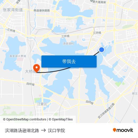 滨湖路汤逊湖北路 to 汉口学院 map