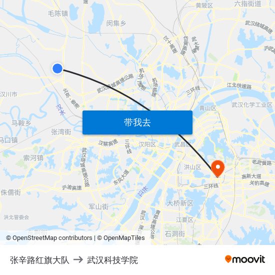 张辛路红旗大队 to 武汉科技学院 map