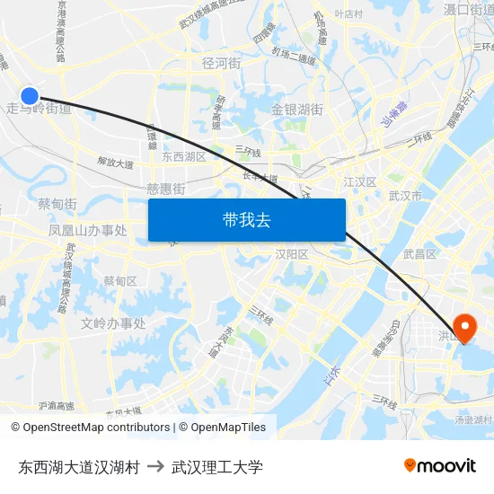 东西湖大道汉湖村 to 武汉理工大学 map