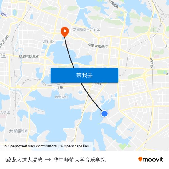 藏龙大道大堤湾 to 华中师范大学音乐学院 map