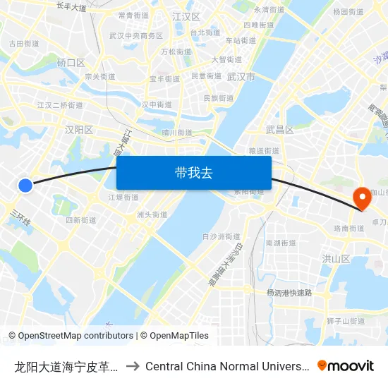 龙阳大道海宁皮革城 to Central China Normal University map