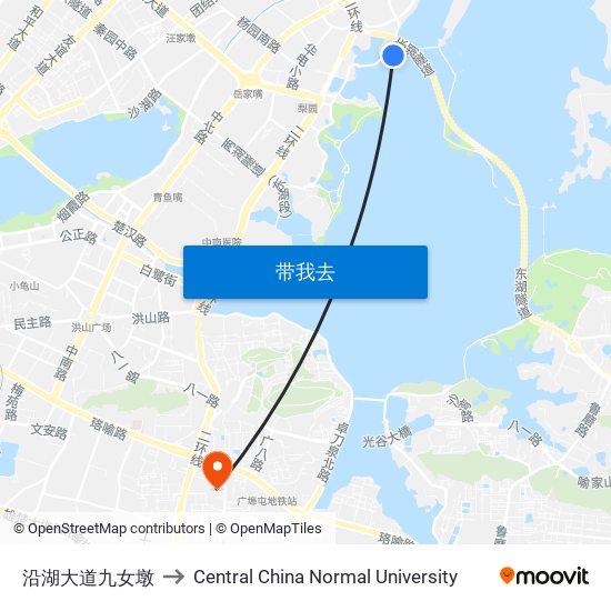 沿湖大道九女墩 to Central China Normal University map