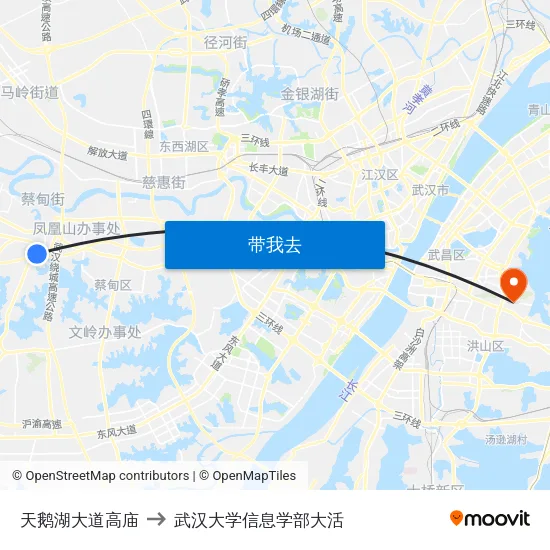 天鹅湖大道高庙 to 武汉大学信息学部大活 map