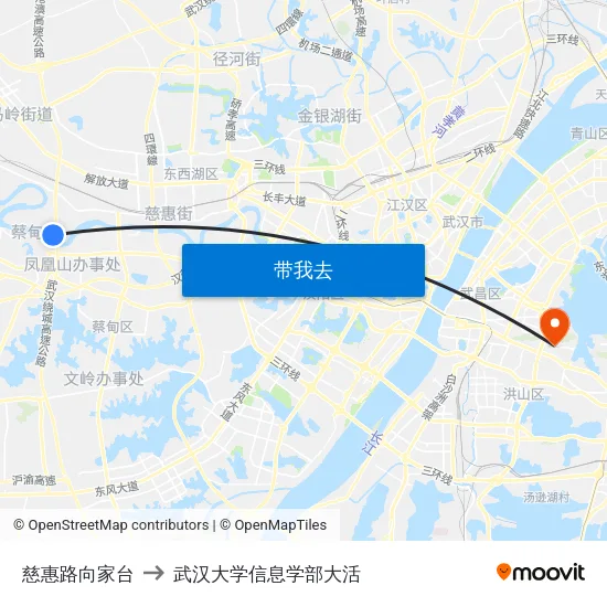 慈惠路向家台 to 武汉大学信息学部大活 map