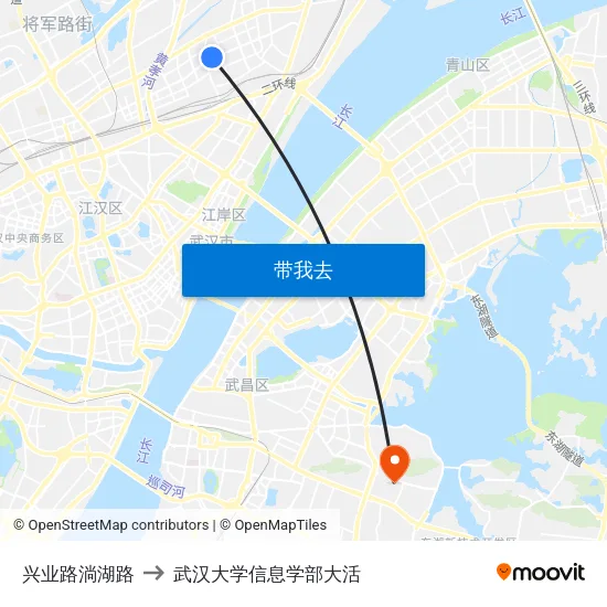 兴业路淌湖路 to 武汉大学信息学部大活 map
