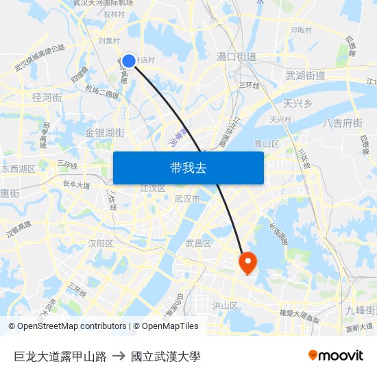 巨龙大道露甲山路 to 國立武漢大學 map