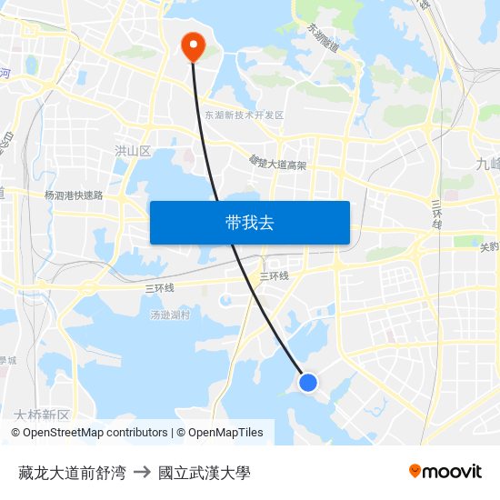藏龙大道前舒湾 to 國立武漢大學 map