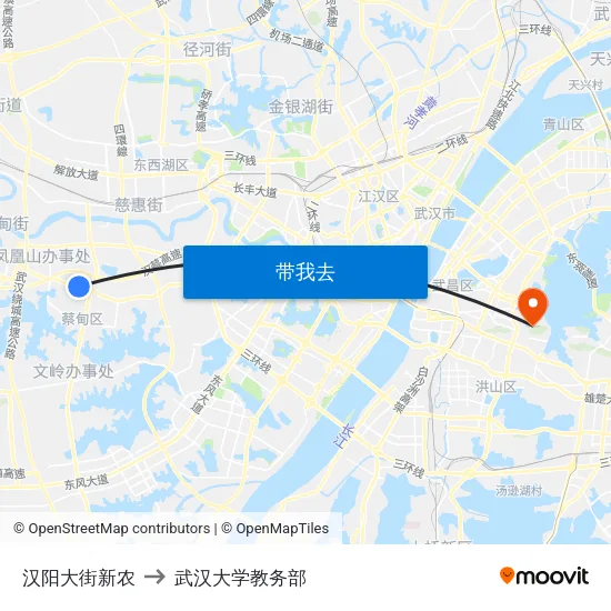 汉阳大街新农 to 武汉大学教务部 map