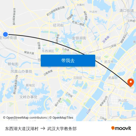 东西湖大道汉湖村 to 武汉大学教务部 map