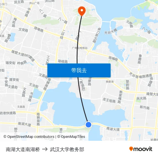 南湖大道南湖桥 to 武汉大学教务部 map