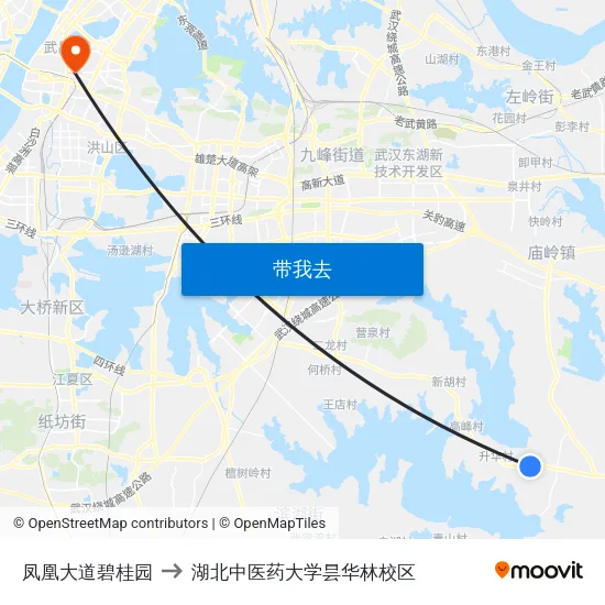 凤凰大道碧桂园 to 湖北中医药大学昙华林校区 map