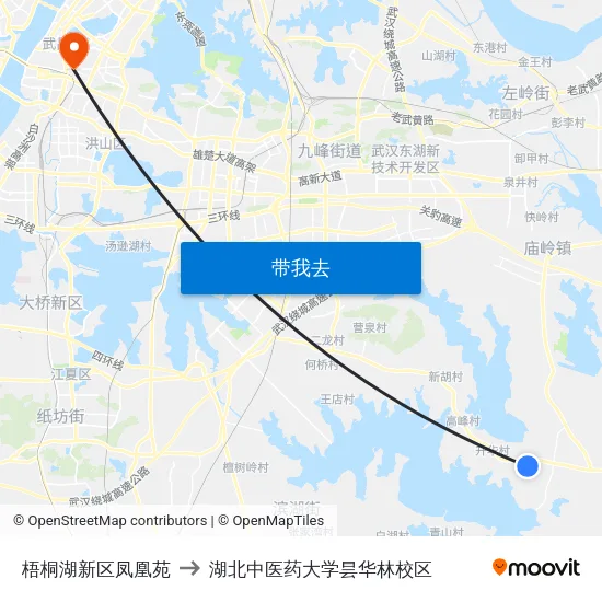 梧桐湖新区凤凰苑 to 湖北中医药大学昙华林校区 map