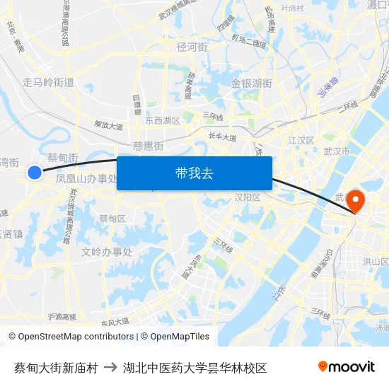 蔡甸大街新庙村 to 湖北中医药大学昙华林校区 map