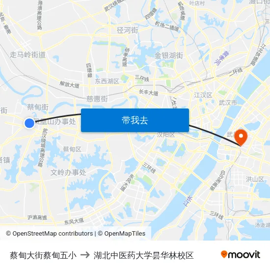 蔡甸大街蔡甸五小 to 湖北中医药大学昙华林校区 map