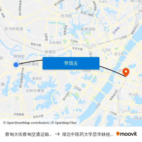 蔡甸大街蔡甸交通运输局 to 湖北中医药大学昙华林校区 map