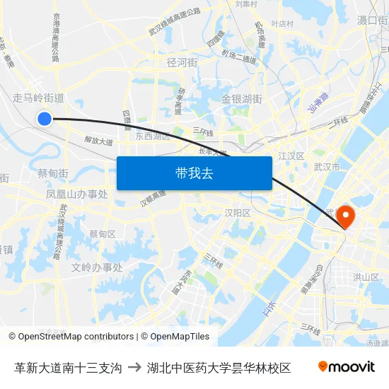 革新大道南十三支沟 to 湖北中医药大学昙华林校区 map
