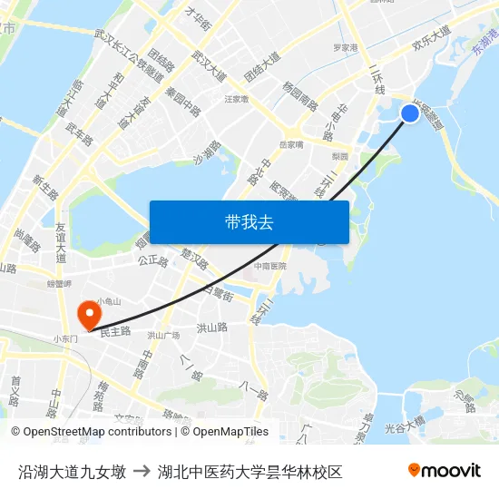 沿湖大道九女墩 to 湖北中医药大学昙华林校区 map
