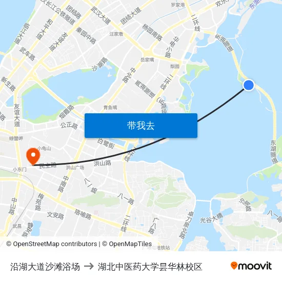 沿湖大道沙滩浴场 to 湖北中医药大学昙华林校区 map