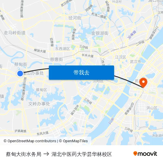 蔡甸大街水务局 to 湖北中医药大学昙华林校区 map