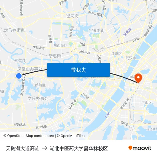 天鹅湖大道高庙 to 湖北中医药大学昙华林校区 map
