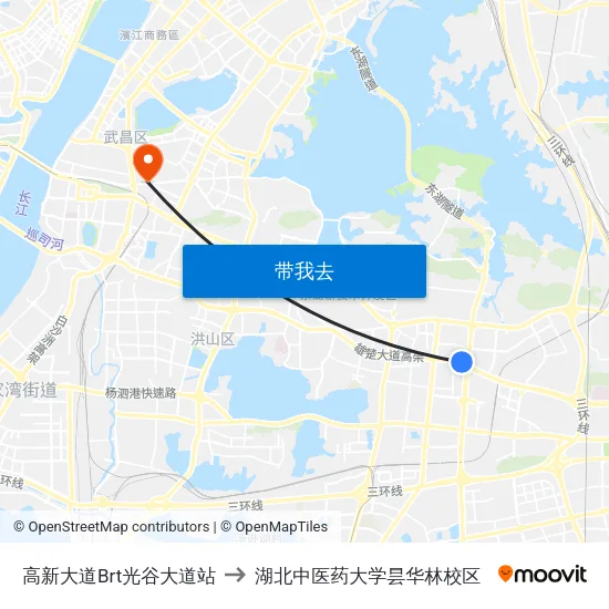 高新大道Brt光谷大道站 to 湖北中医药大学昙华林校区 map