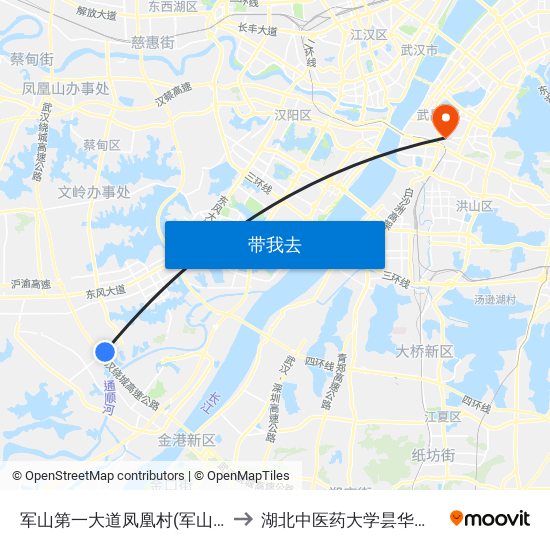 军山第一大道凤凰村(军山大道) to 湖北中医药大学昙华林校区 map