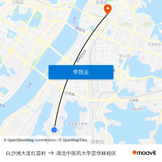 白沙洲大道红霞村 to 湖北中医药大学昙华林校区 map