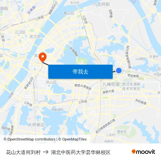 花山大道何刘村 to 湖北中医药大学昙华林校区 map