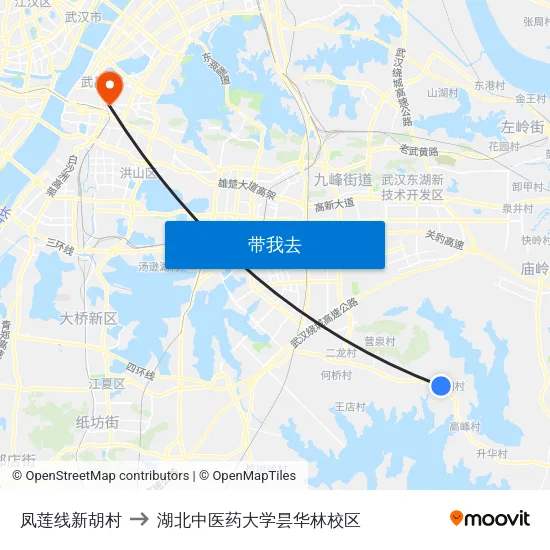 凤莲线新胡村 to 湖北中医药大学昙华林校区 map